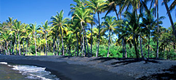 Havajské ostrovy - ostrov Havaj - pláž