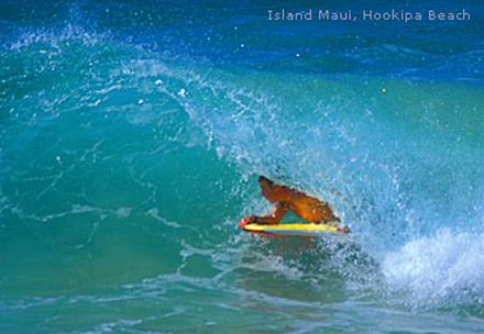 Havajské ostrovy, ostrov Maui, surfování